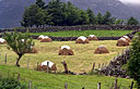 Traditional Heystacks, Connemara, Ireland
