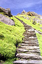 Steps on Skellig Michael, Co. Kerry, Ireland