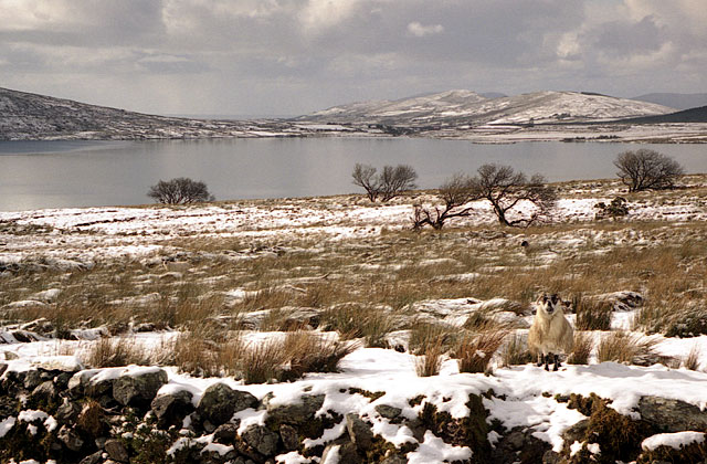 Deriana Lake in Winter, Waterville, Co. Kerry, Ireland
